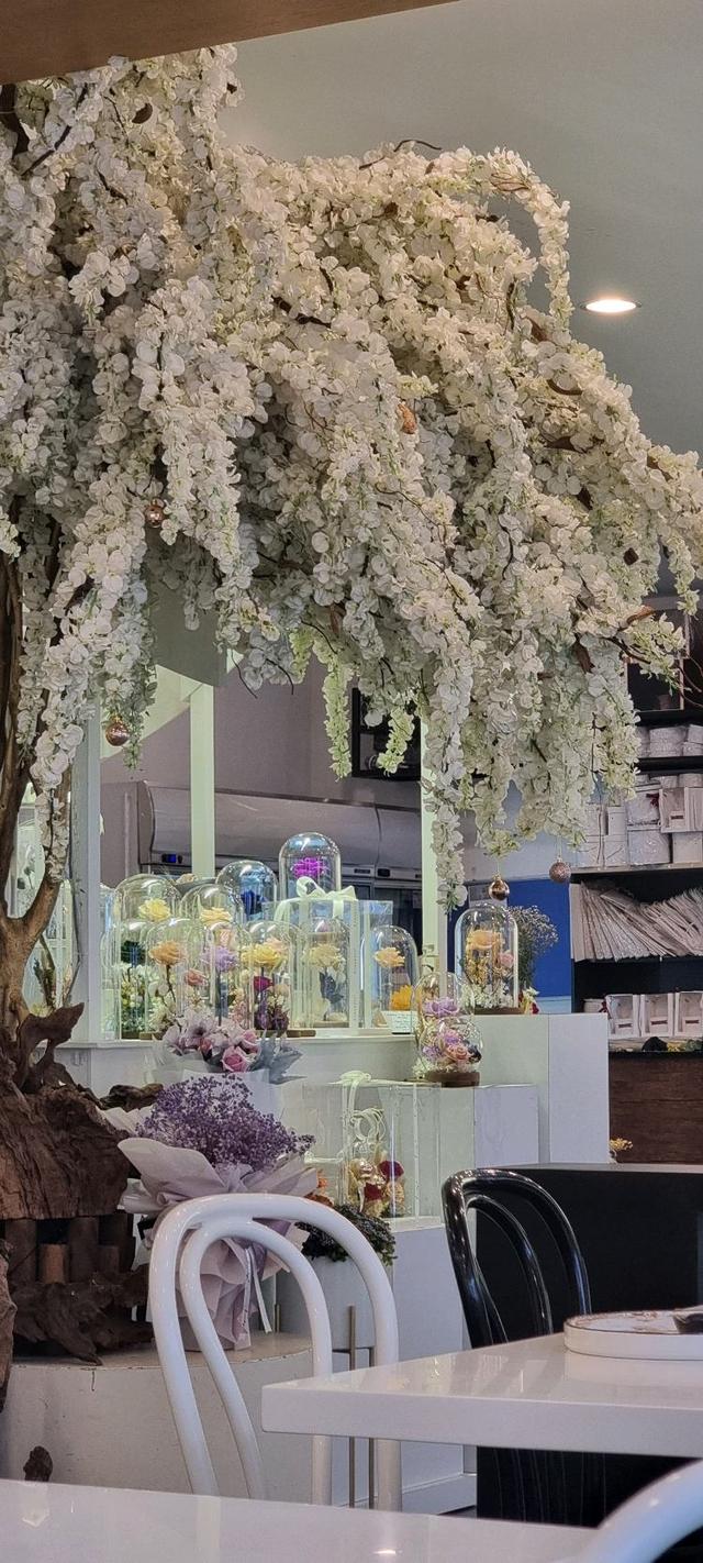 Photo of Hanakoya Flower Café - Kota Kinabalu, Sabah, Malaysia