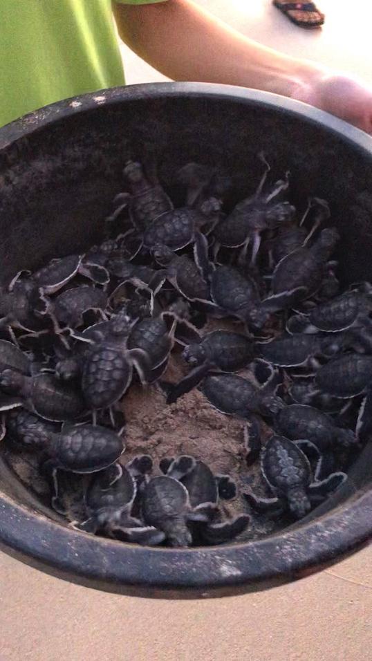 Photo of The Tip of Borneo - Kudat, Sabah, Malaysia