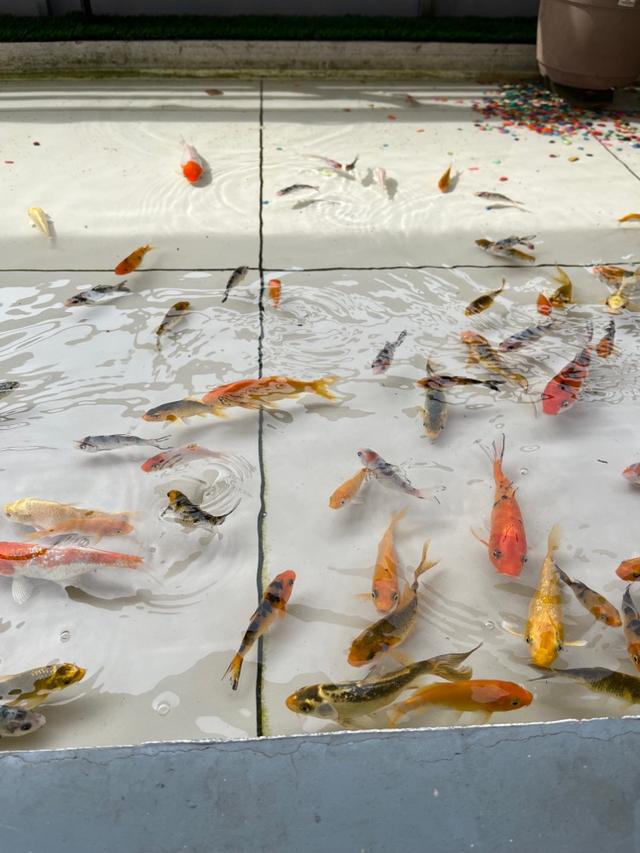 Photo of 1993 Street Coffee - Kudat, Sabah, Malaysia