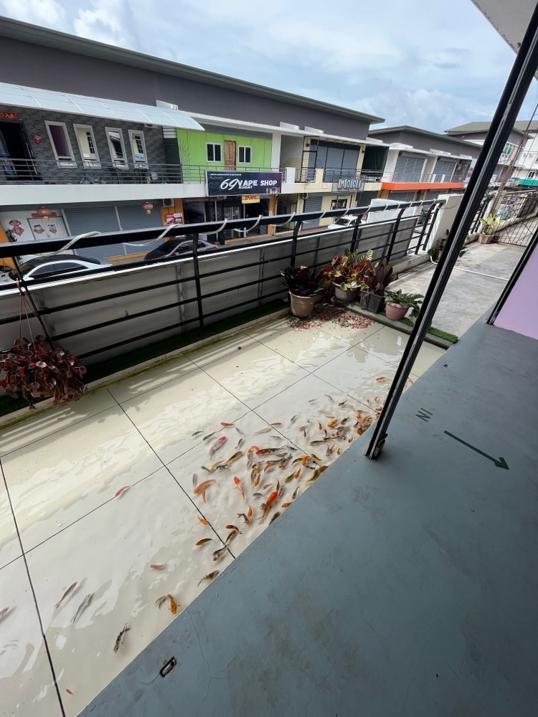 Photo of 1993 Street Coffee - Kudat, Sabah, Malaysia