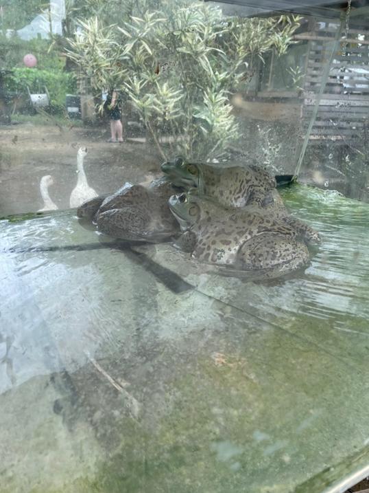 Photo of Mark Baba Pets - Kota Kinabalu, Sabah, Malaysia