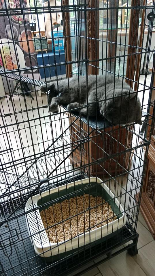 Photo of Eva Secret Garden - Kota Kinabalu, Sabah, Malaysia