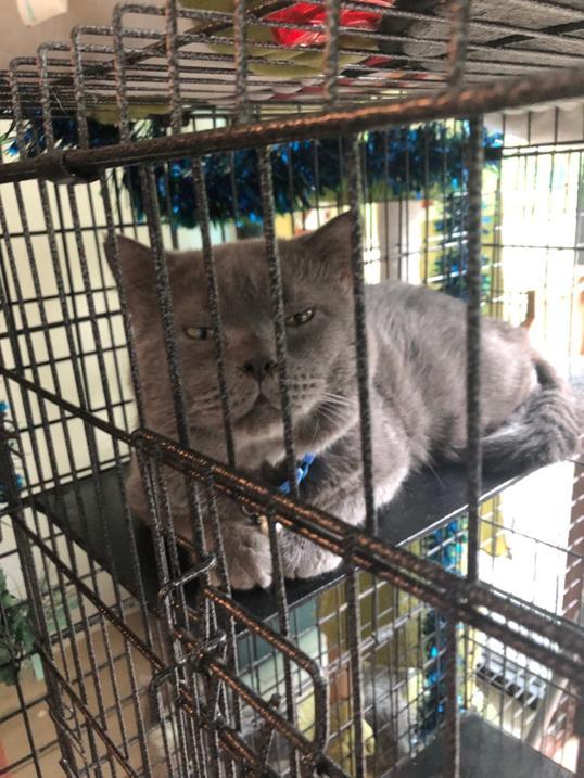 Photo of Eva Secret Garden - Kota Kinabalu, Sabah, Malaysia