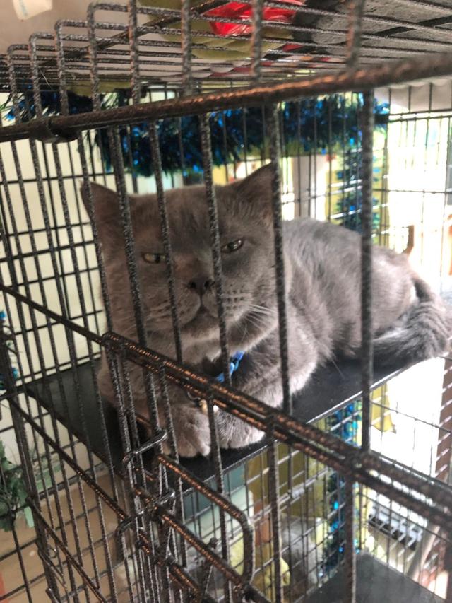 Photo of Eva Secret Garden - Kota Kinabalu, Sabah, Malaysia