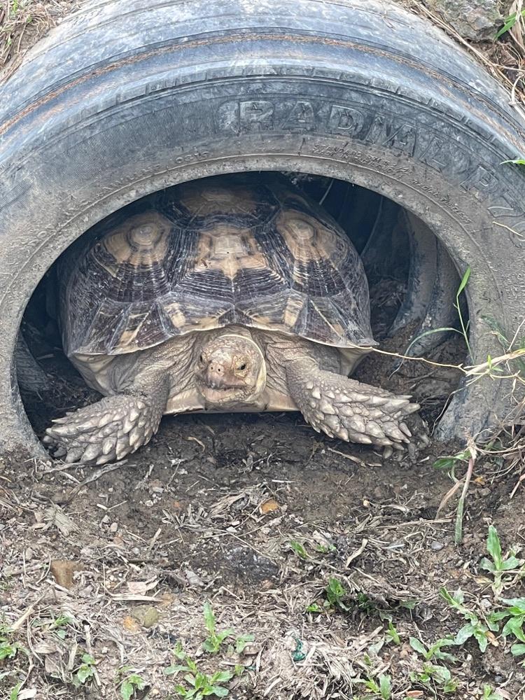 Photo of Mark Baba Pets - Kota Kinabalu, Sabah, Malaysia