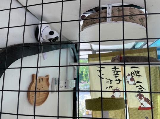 Photo of Eva Secret Garden - Kota Kinabalu, Sabah, Malaysia