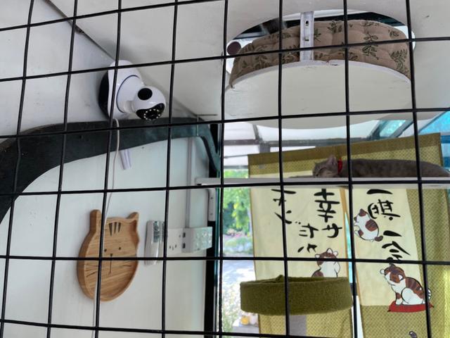 Photo of Eva Secret Garden - Kota Kinabalu, Sabah, Malaysia