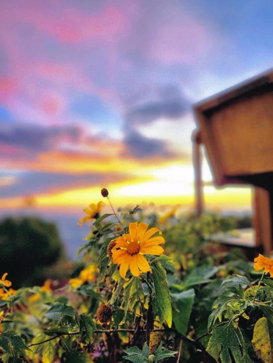 Photo of Kasih Sayang Hill Resort - Kota Kinabalu, Sabah, Malaysia