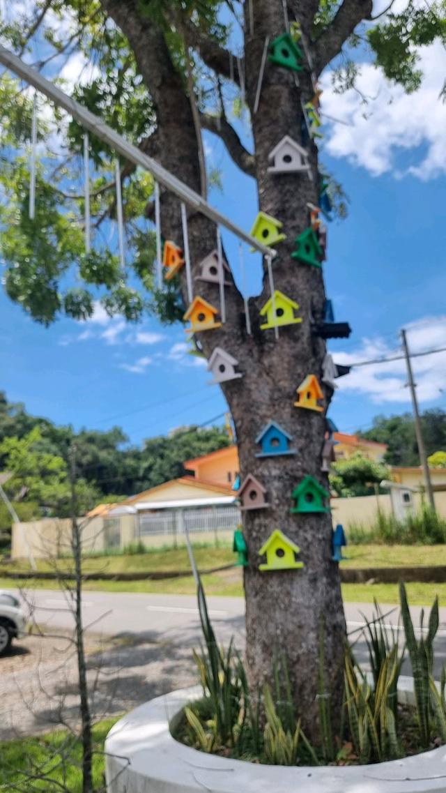 Photo of The Alchemist's Café - Kota Kinabalu, Sabah, Malaysia