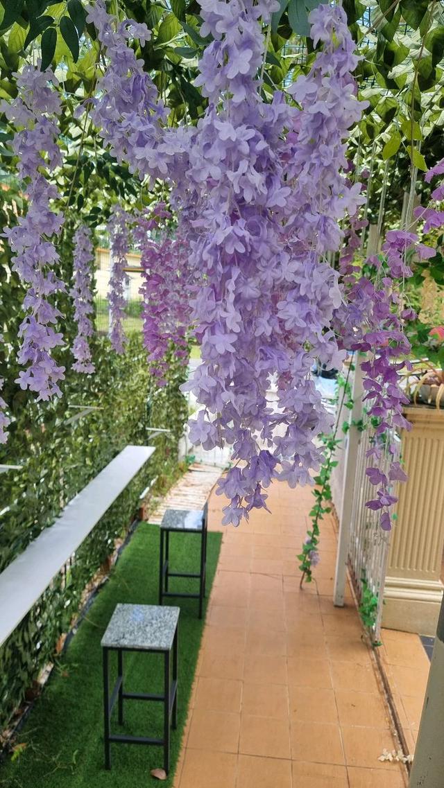 Photo of The Alchemist's Café - Kota Kinabalu, Sabah, Malaysia