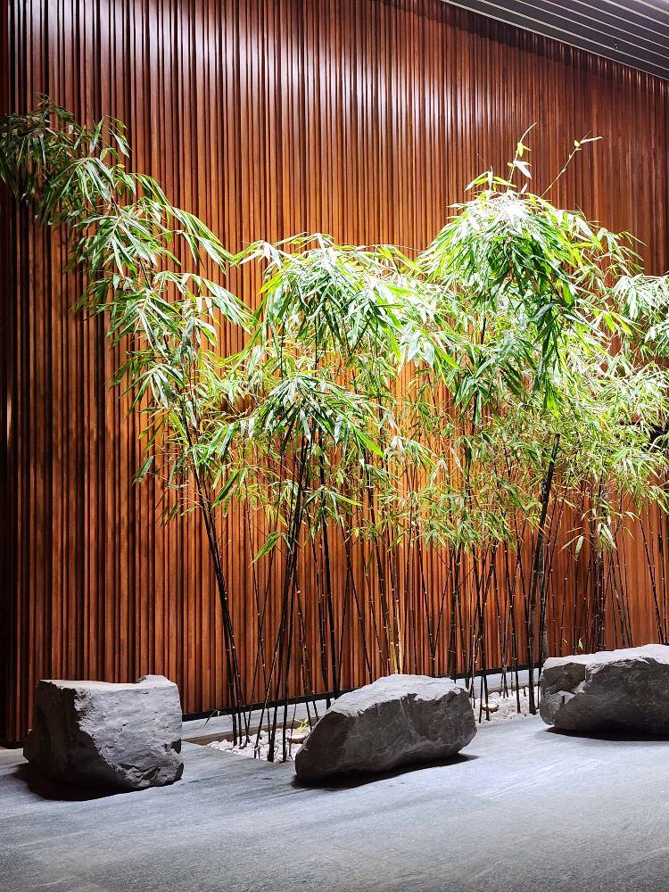 Photo of Hyatt Regency Kinabalu - Kota Kinabalu, Sabah, Malaysia