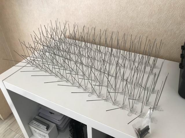 Photo of Pestline KL Branch - Kuala Lumpur, Kuala lumpur, Malaysia