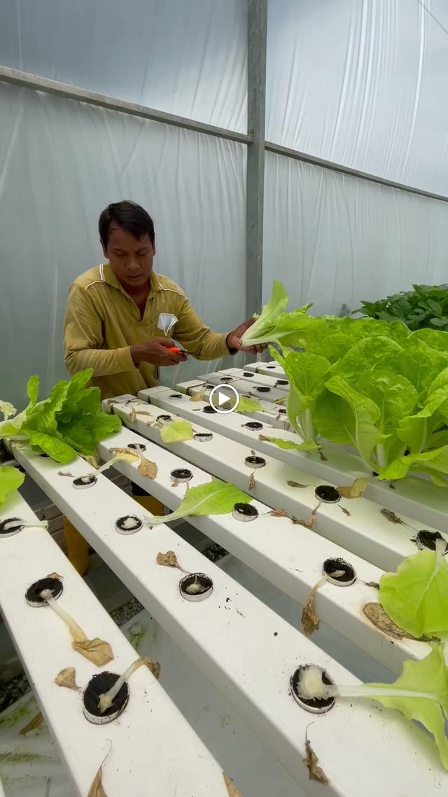 Photo of AMAZING GRACE RETIREMENT HOME - Petaling Jaya, Selangor, Malaysia