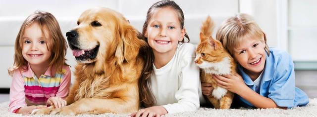 Photo of Ban Leong Dinos Pet Supply - George Town, Penang, Malaysia