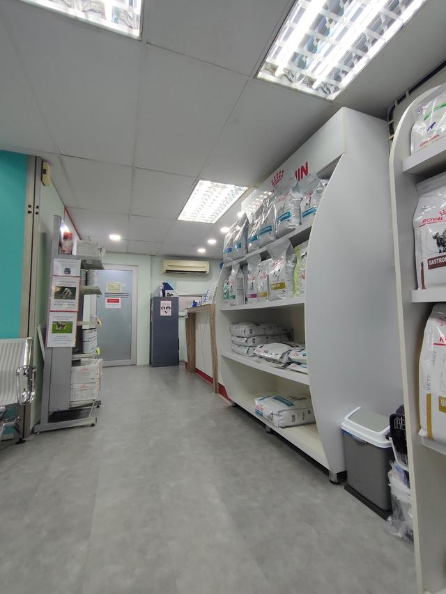 Photo of BANGSAR VETERINARY CLINIC AND SURGERY - Kuala Lumpur, Kuala lumpur, Malaysia