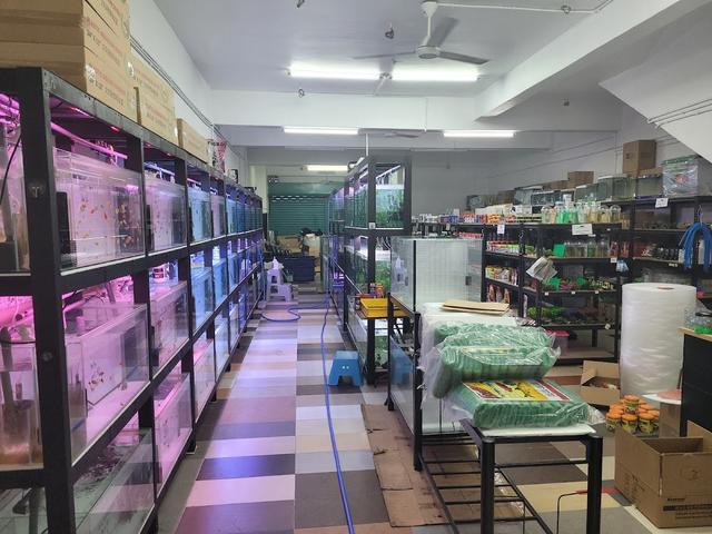 Photo of Bkind Aquatics and Pet Supplies - Subang Jaya, Selangor, Malaysia