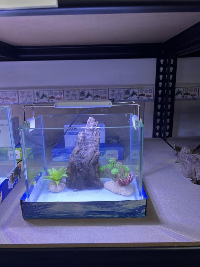 Photo of Bkind Aquatics and Pet Supplies - Subang Jaya, Selangor, Malaysia