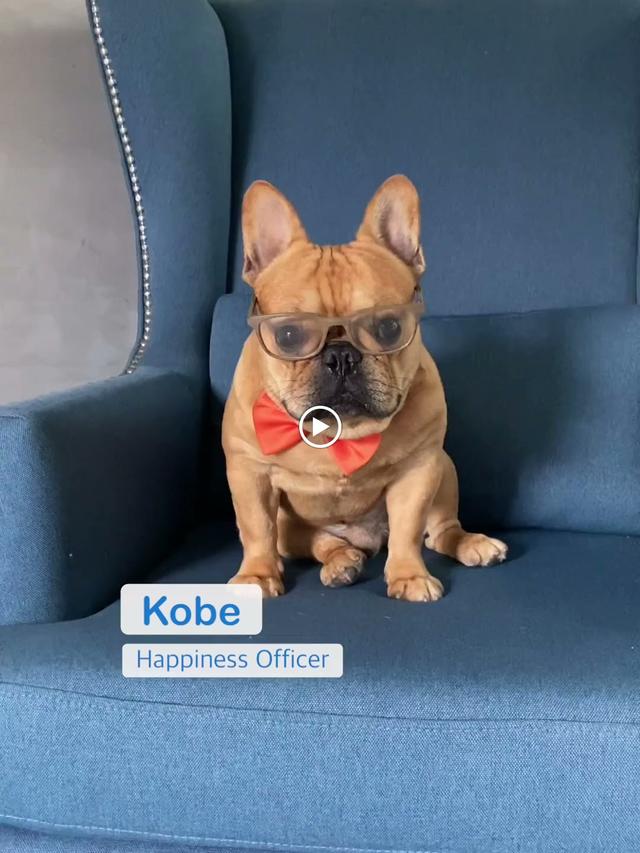 Photo of Brandripe - Petaling Jaya, Selangor, Malaysia