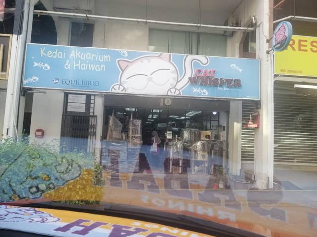 Photo of Cat Whisper - Petaling Jaya, Selangor, Malaysia