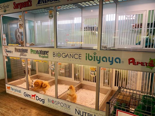 Photo of Chew Thean Yeang Aquarium Sdn Bhd - Bayan Lepas, Penang, Malaysia