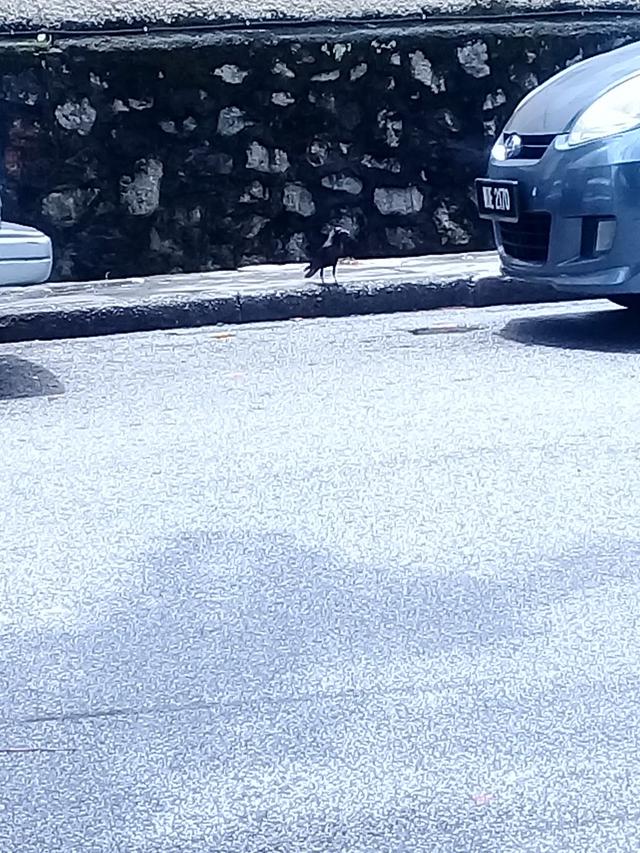 Photo of City Auto Services Center - Kuala Lumpur, Kuala lumpur, Malaysia