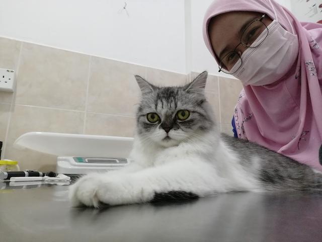 Photo of Damai Veterinary Clinic - Petaling Jaya, Selangor, Malaysia