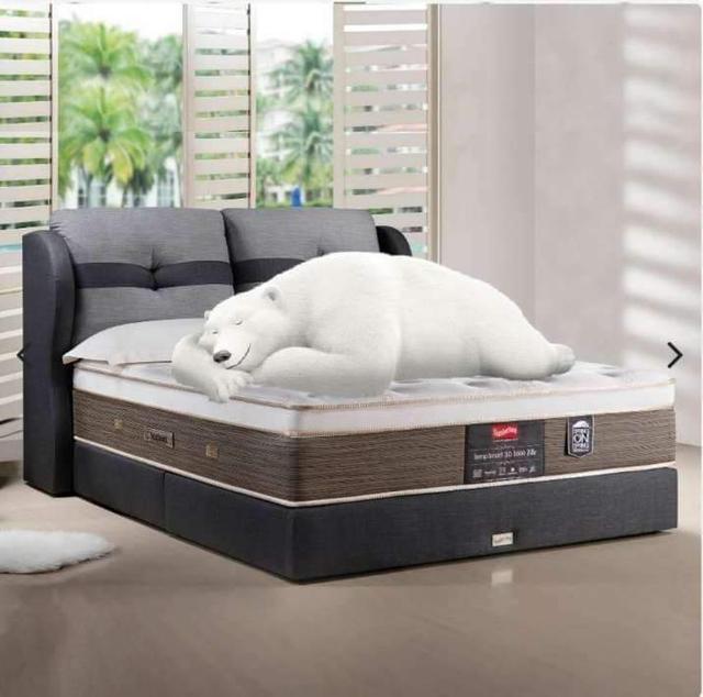 Photo of Design Crest Furniture - Ayer Itam, Penang, Malaysia