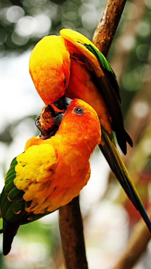 Photo of EasyParcel - Bayan Lepas, Penang, Malaysia