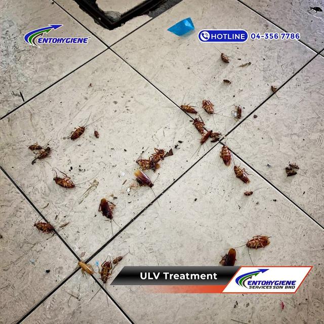Photo of Entohygiene Services Sdn Bhd - Pest Control Penang - Butterworth, Penang, Malaysia
