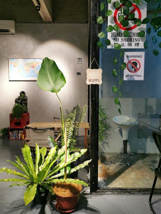 Photo of Coin At Sea - Kota Kinabalu, Sabah, Malaysia