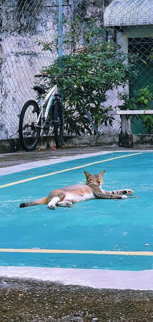 Photo of Penang Street Art - George Town, Penang, Malaysia