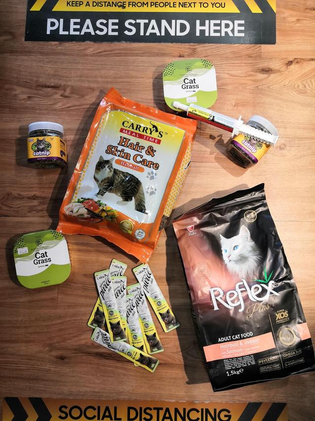 Photo of Fantasy Pets Studio - Bayan Lepas, Penang, Malaysia