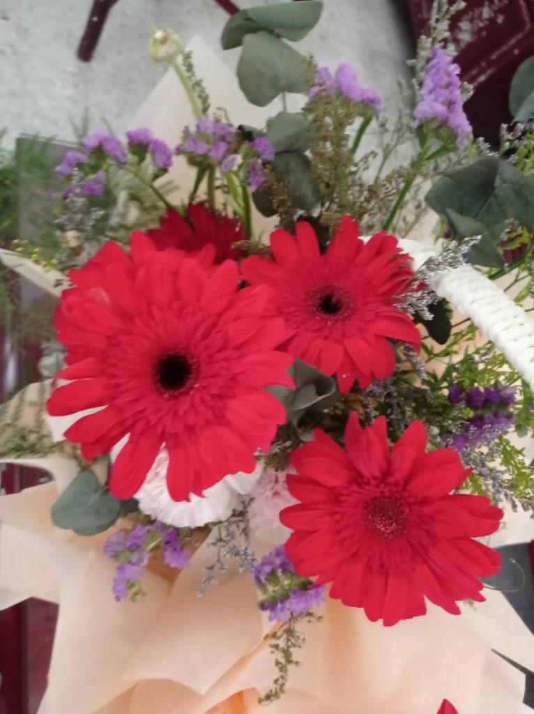 Background Blur Cover