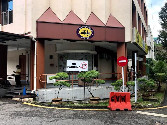 Photo of Gasing Veterinary Hospital - Petaling Jaya, Selangor, Malaysia