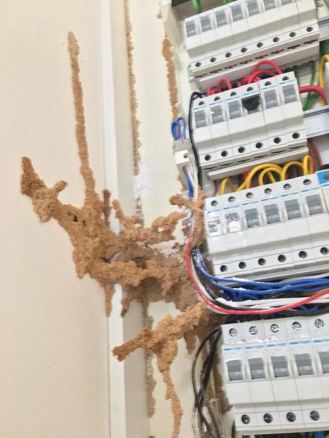 Photo of Golden Pest Control - Kuala Lumpur, Kuala lumpur, Malaysia