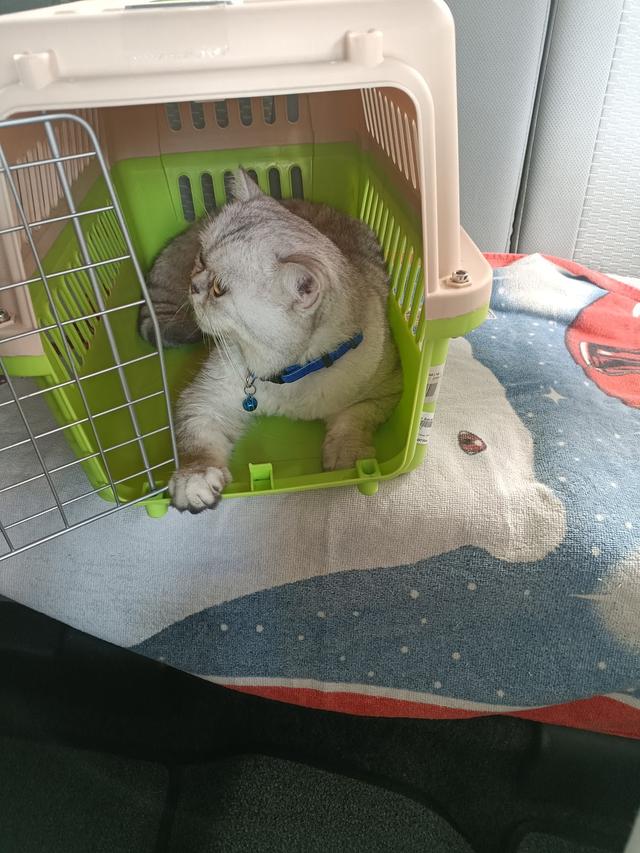 Photo of Hand N Paws Veterinary Clinic & Pet Center - Petaling Jaya, Selangor, Malaysia