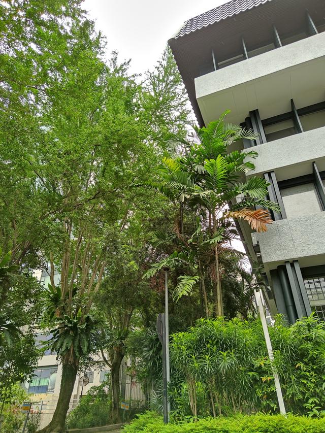 Photo of HELP Academy - Kuala Lumpur, Kuala lumpur, Malaysia