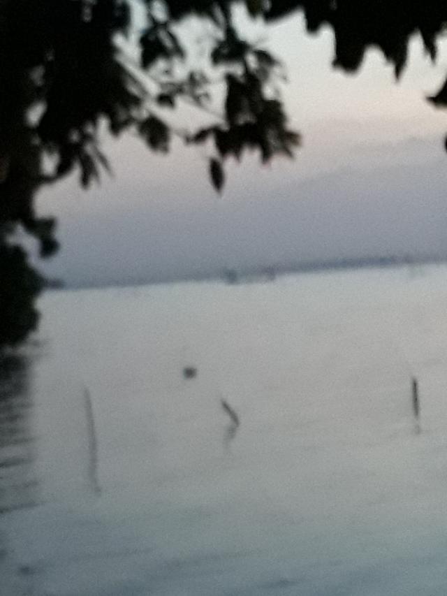 Photo of Hitachi Transport System (M) Sdn. Bhd. - Bayan Lepas, Penang, Malaysia