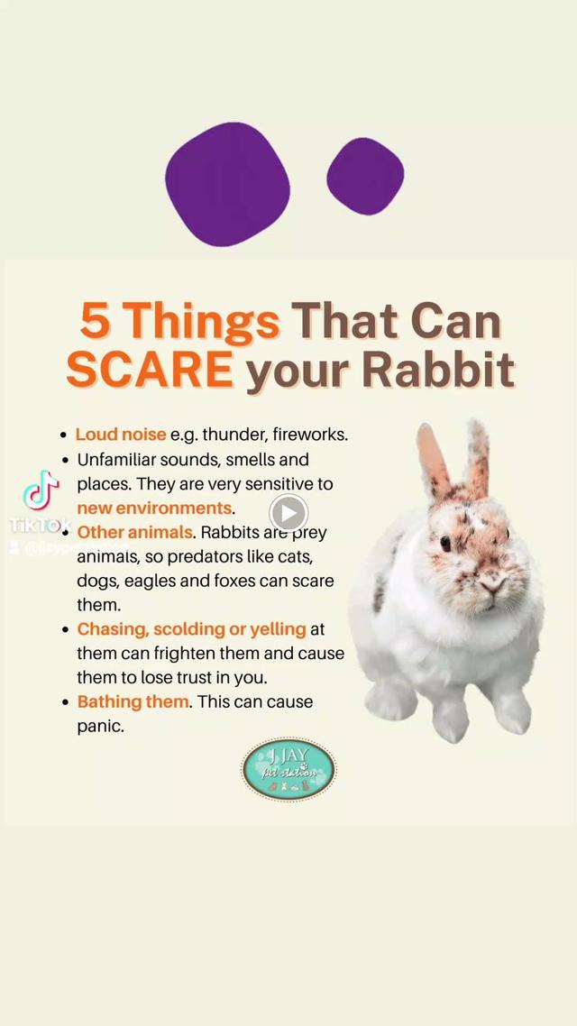 Photo of J Jay Pet Station - Petaling Jaya, Selangor, Malaysia