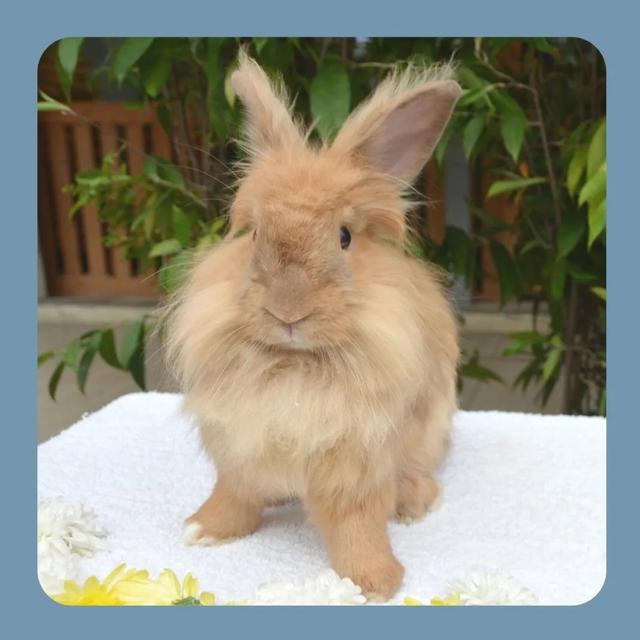 Photo of J Jay Pet Station - Petaling Jaya, Selangor, Malaysia