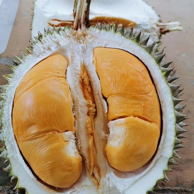 Photo of Jagong mexico 88 - Bayan Lepas, Penang, Malaysia