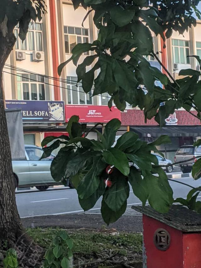 Photo of J&T Express Bagan Lalang Branch - Butterworth, Penang, Malaysia