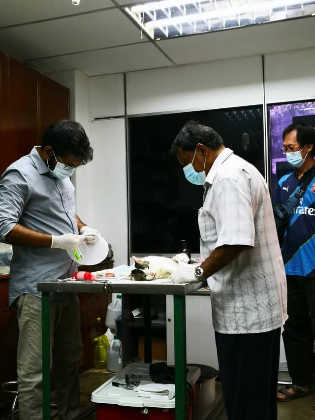 Photo of Karu's Animal Centre & Surgery - Kuala Lumpur, Kuala lumpur, Malaysia