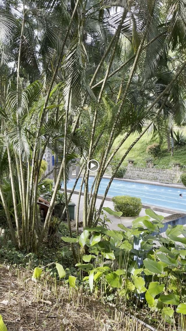 Photo of Keng Kwee Fruits Store - George Town, Penang, Malaysia