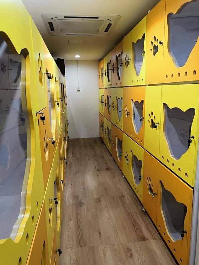 Photo of KITNAC KATZ HOTEL & PETSHOP - Kuala Lumpur, Kuala lumpur, Malaysia