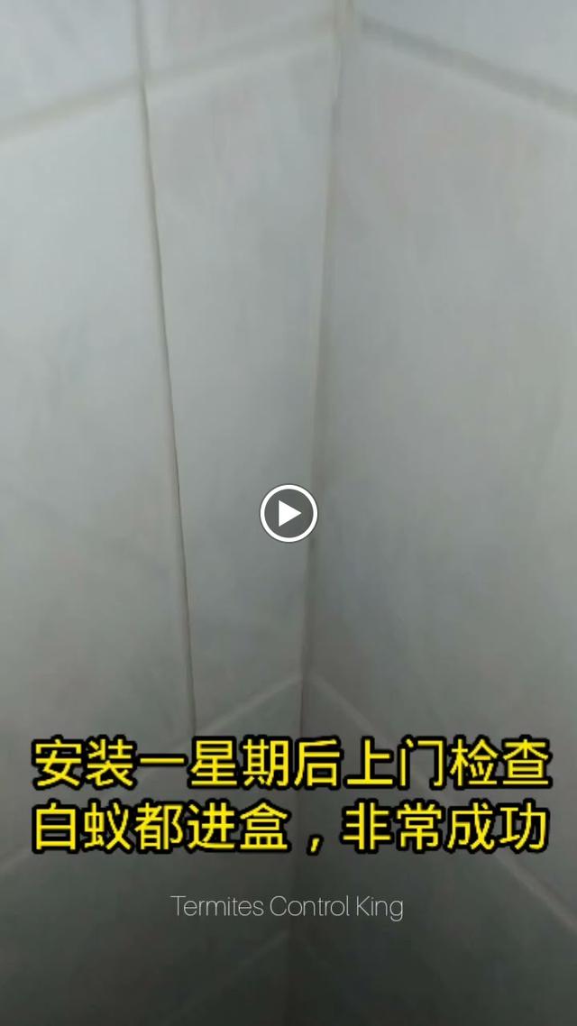 Photo of Lim Termites Northern Services 北马灭白蚁专家 - Butterworth, Penang, Malaysia