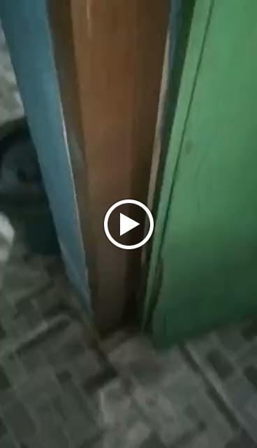 Photo of Lim Termites Northern Services 北马灭白蚁专家 - Butterworth, Penang, Malaysia