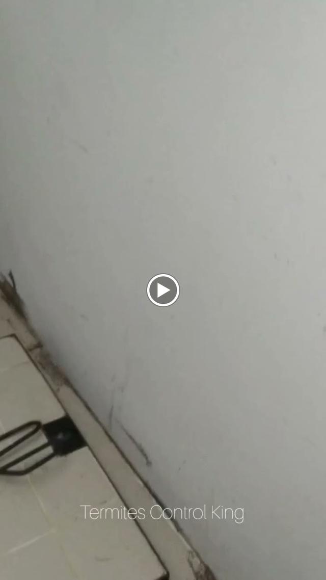 Photo of Lim Termites Northern Services 北马灭白蚁专家 - Butterworth, Penang, Malaysia