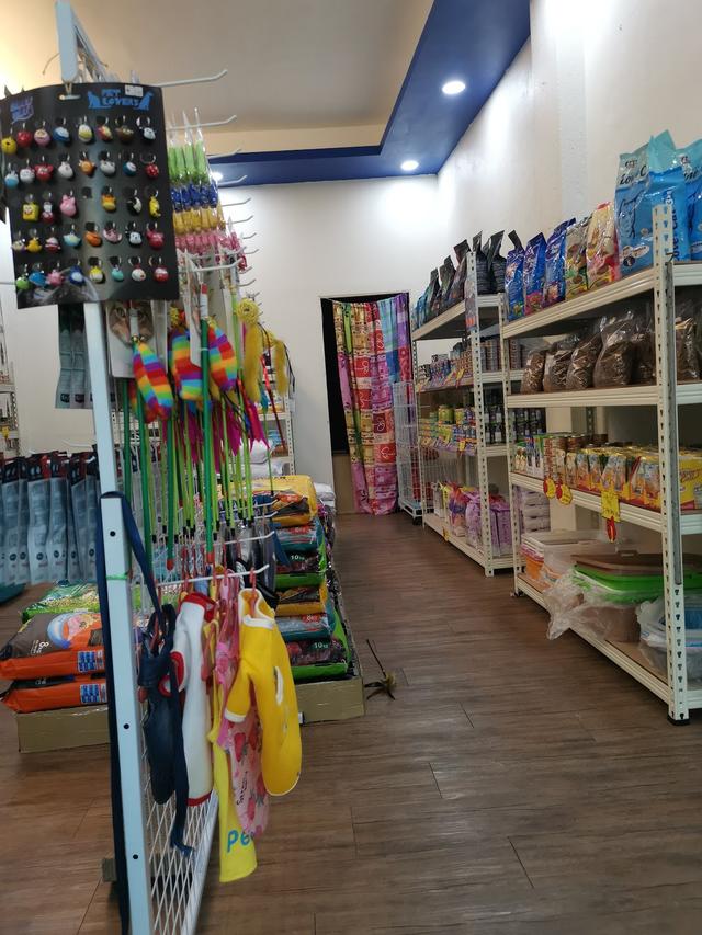 Photo of Meowky House - George Town, Penang, Malaysia