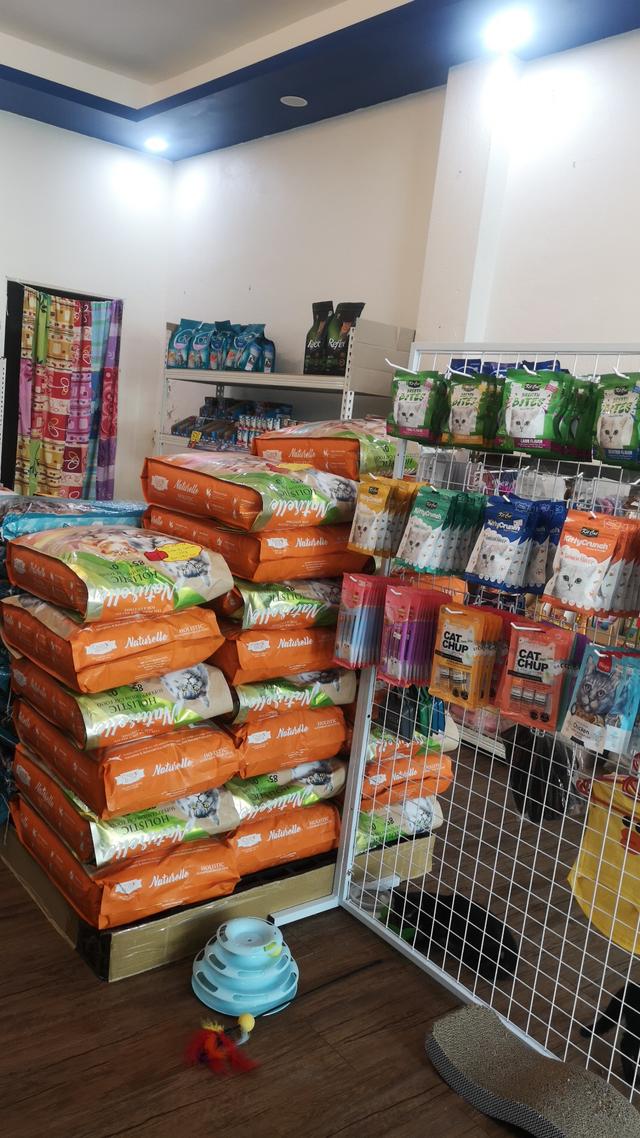 Photo of Meowky House - George Town, Penang, Malaysia